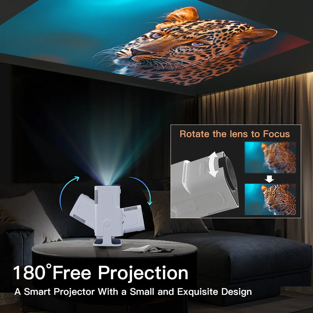 Outdoor Portable Projector